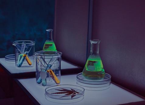 ShieldChem™