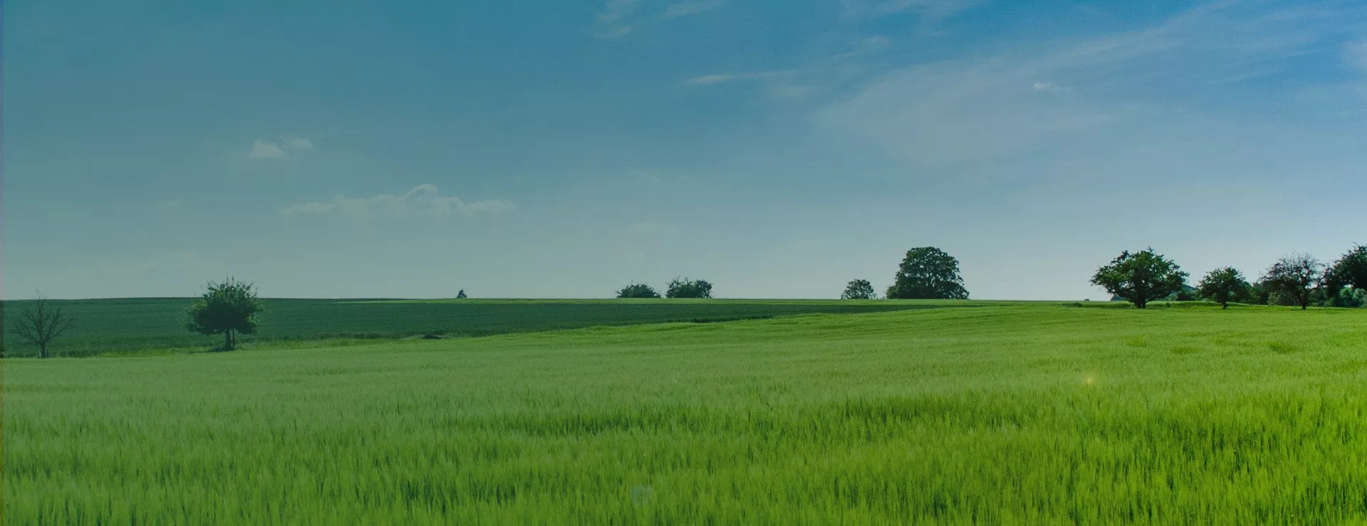 Sustainable Excellence<br/>Across the Value Chain