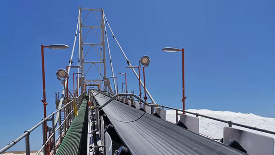 BoClean™  Anti-Adhesion Conveyor Belt 
